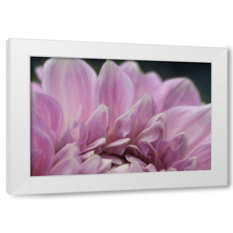 A Fresh Start White Modern Wood Framed Art Print by Deiter, Lori