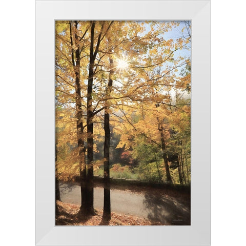 Autumn Light at Letchworth   White Modern Wood Framed Art Print by Deiter, Lori