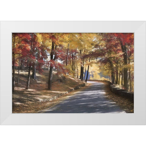 Autumn at Letchworth    White Modern Wood Framed Art Print by Deiter, Lori