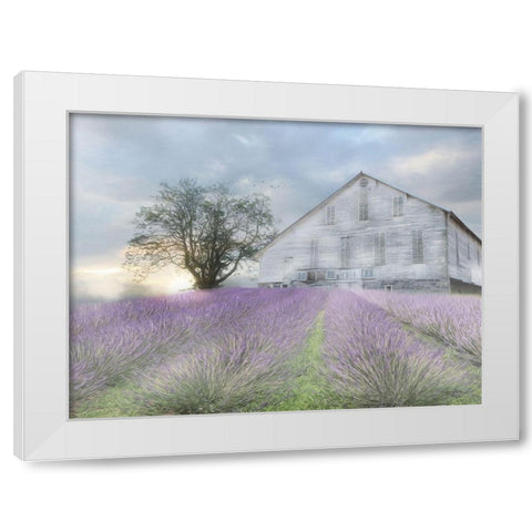 Summer Sunrise White Modern Wood Framed Art Print by Deiter, Lori