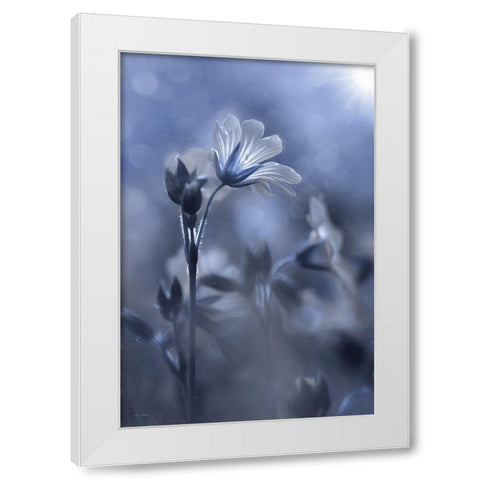 Blue and White Flowers I White Modern Wood Framed Art Print by Deiter, Lori