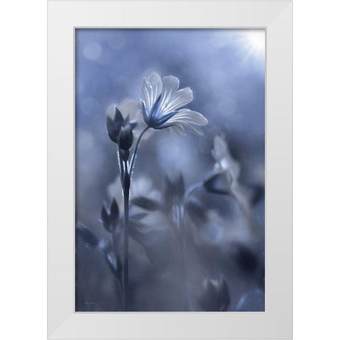 Blue and White Flowers I White Modern Wood Framed Art Print by Deiter, Lori