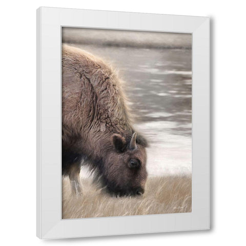 Yellowstone Buffalo White Modern Wood Framed Art Print by Deiter, Lori
