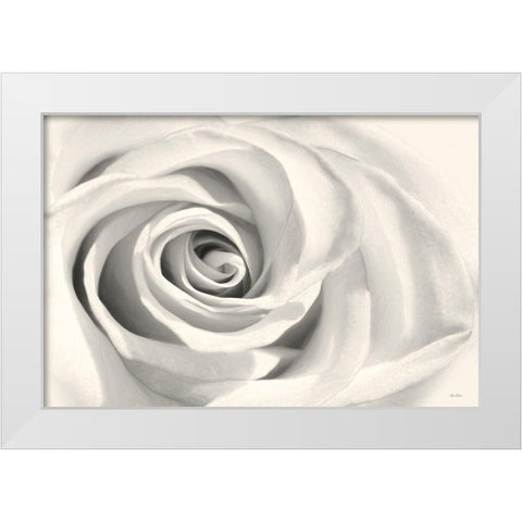 Rose II White Modern Wood Framed Art Print by Deiter, Lori