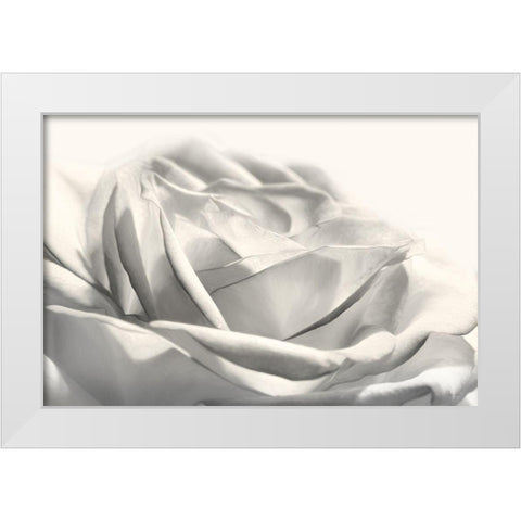 Rose III White Modern Wood Framed Art Print by Deiter, Lori
