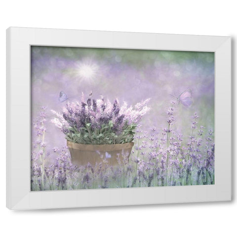 Lavender Basket White Modern Wood Framed Art Print by Deiter, Lori