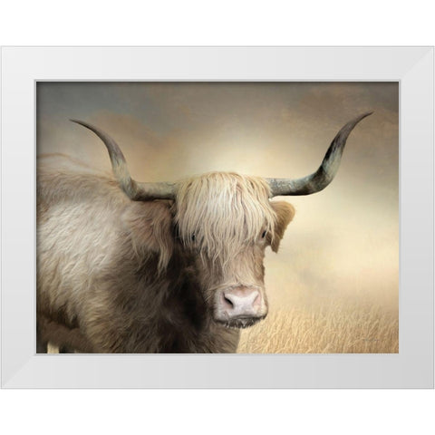 Highland Cow in Golden Grass White Modern Wood Framed Art Print by Deiter, Lori
