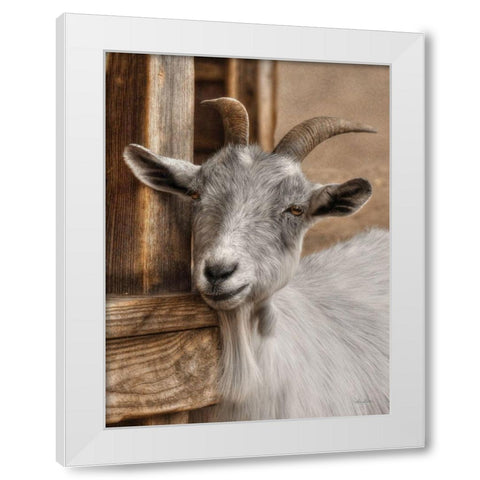 Gray Goat White Modern Wood Framed Art Print by Deiter, Lori
