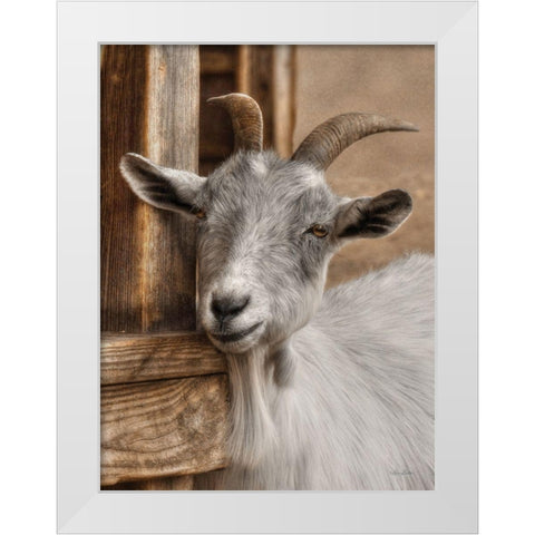 Gray Goat White Modern Wood Framed Art Print by Deiter, Lori