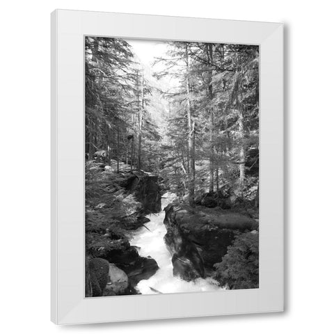 Avalanche Trail   White Modern Wood Framed Art Print by Deiter, Lori