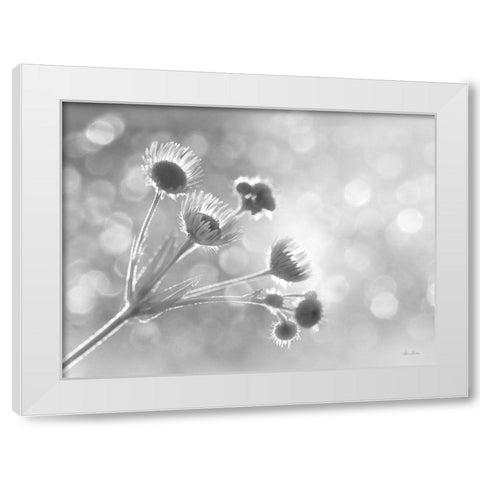 Wild Flowers I White Modern Wood Framed Art Print by Deiter, Lori