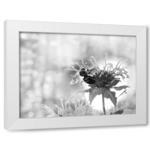 Wild Flowers II White Modern Wood Framed Art Print by Deiter, Lori