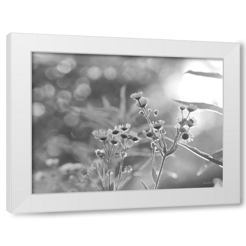 Wild Flowers III White Modern Wood Framed Art Print by Deiter, Lori