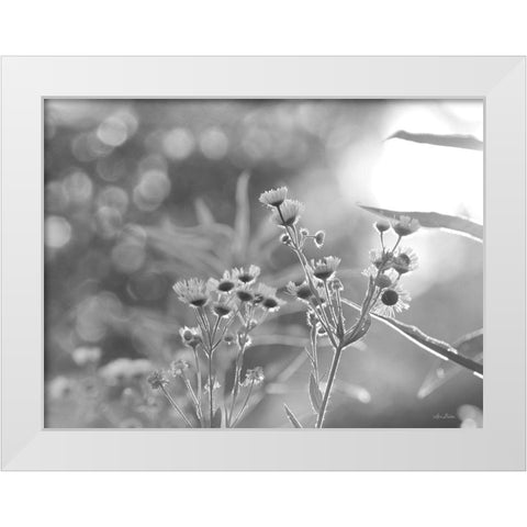 Wild Flowers III White Modern Wood Framed Art Print by Deiter, Lori