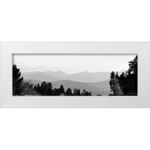 Arapaho National Forest   White Modern Wood Framed Art Print by Deiter, Lori