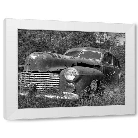 Rust Bucket White Modern Wood Framed Art Print by Deiter, Lori