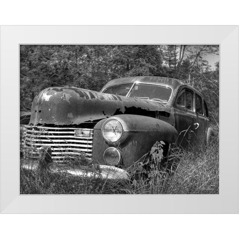 Rust Bucket White Modern Wood Framed Art Print by Deiter, Lori