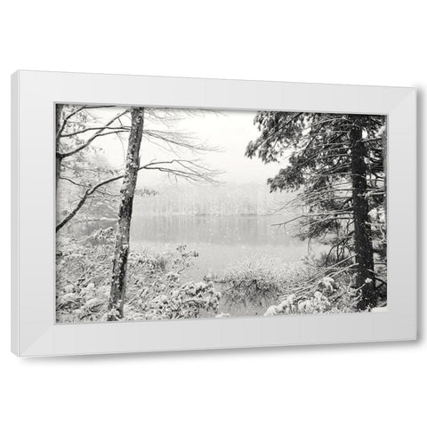 Silence is Beautiful White Modern Wood Framed Art Print by Deiter, Lori