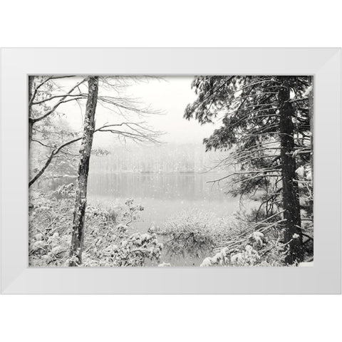 Silence is Beautiful White Modern Wood Framed Art Print by Deiter, Lori