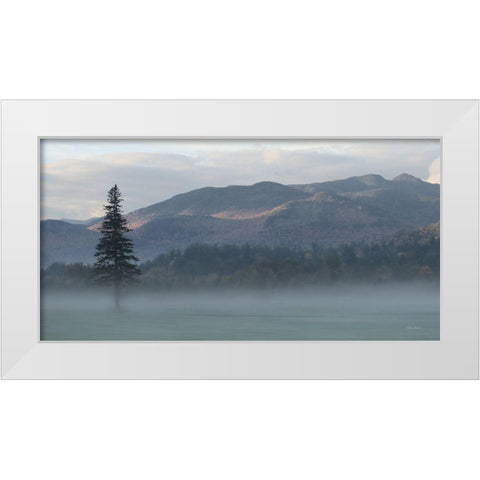 Adirondack Misty Morning White Modern Wood Framed Art Print by Deiter, Lori