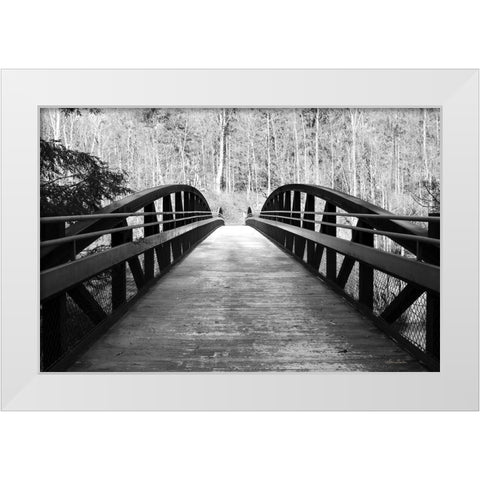 Wiconisco Creek Bridge White Modern Wood Framed Art Print by Deiter, Lori