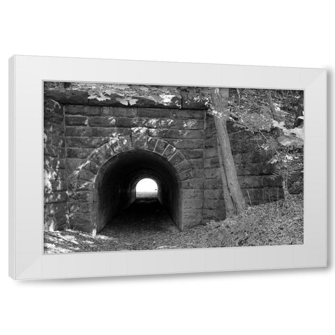 Juniata Tunnel White Modern Wood Framed Art Print by Deiter, Lori