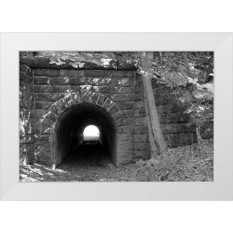 Juniata Tunnel White Modern Wood Framed Art Print by Deiter, Lori
