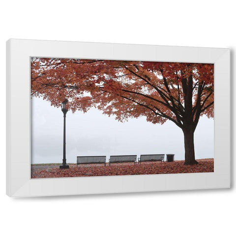 A Place to Dream White Modern Wood Framed Art Print by Deiter, Lori