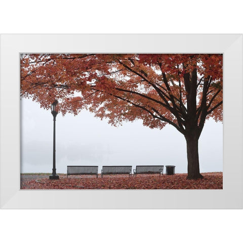 A Place to Dream White Modern Wood Framed Art Print by Deiter, Lori