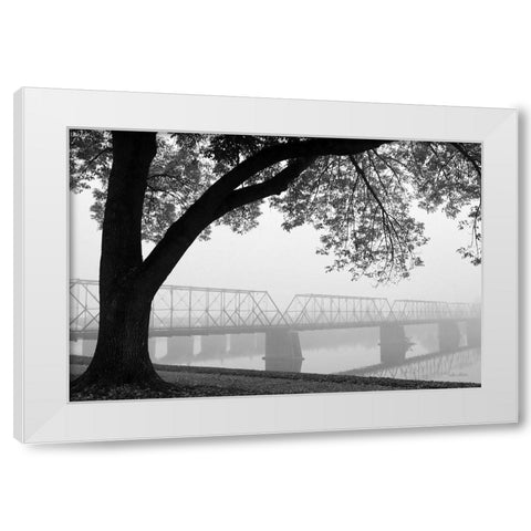 What is Your Destiny White Modern Wood Framed Art Print by Deiter, Lori