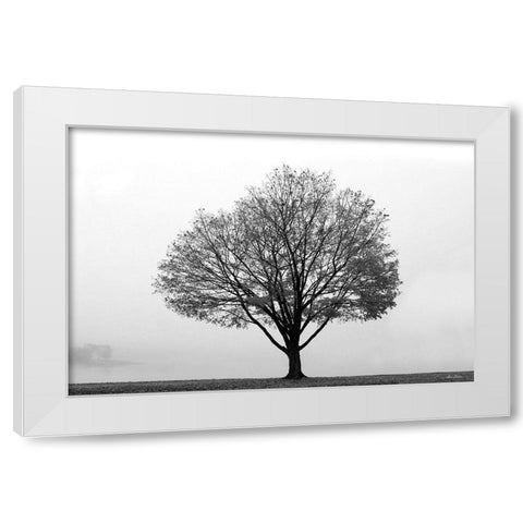 Flying Solo White Modern Wood Framed Art Print by Deiter, Lori