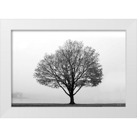 Flying Solo White Modern Wood Framed Art Print by Deiter, Lori