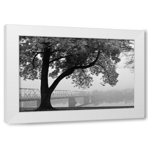 Move On White Modern Wood Framed Art Print by Deiter, Lori