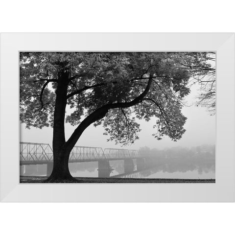 Move On White Modern Wood Framed Art Print by Deiter, Lori