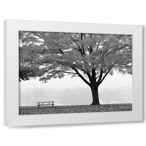 The Empty Table White Modern Wood Framed Art Print by Deiter, Lori