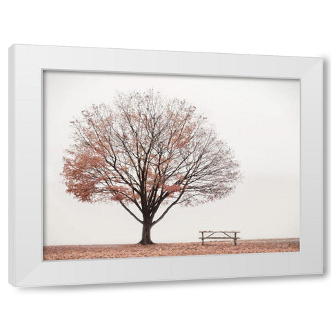 Barely There White Modern Wood Framed Art Print by Deiter, Lori