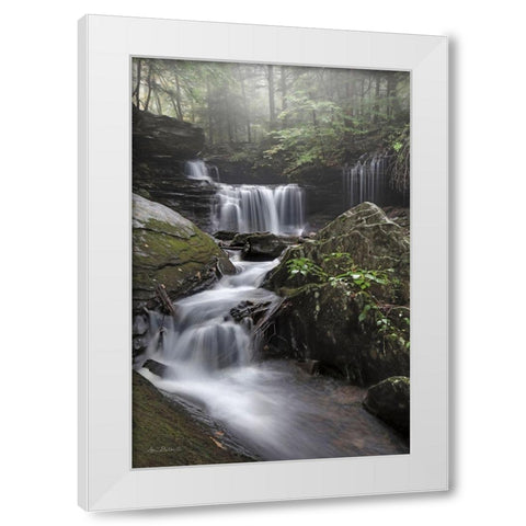 Ricketts Waterfall White Modern Wood Framed Art Print by Deiter, Lori