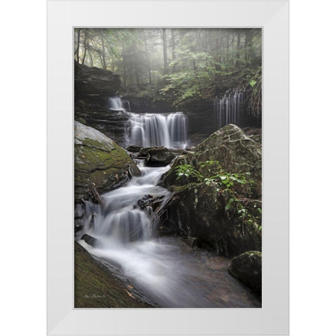 Ricketts Waterfall White Modern Wood Framed Art Print by Deiter, Lori