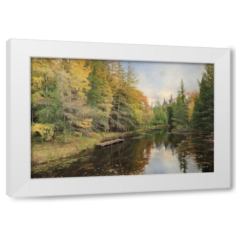Reflections of Nature White Modern Wood Framed Art Print by Deiter, Lori