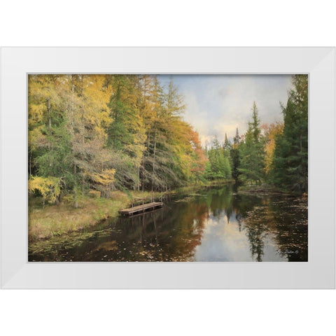 Reflections of Nature White Modern Wood Framed Art Print by Deiter, Lori