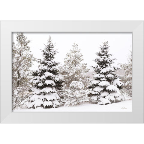 Snowy Pine Trees      White Modern Wood Framed Art Print by Deiter, Lori