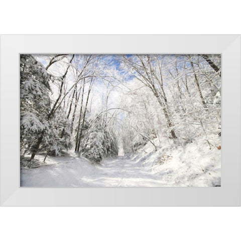 Winter Storm    White Modern Wood Framed Art Print by Deiter, Lori