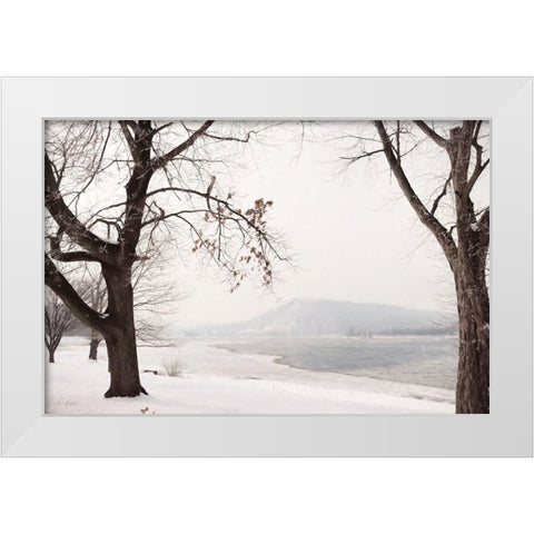 Snowy Susquehanna   White Modern Wood Framed Art Print by Deiter, Lori
