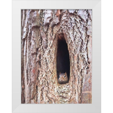 Is It Spring Yet?   White Modern Wood Framed Art Print by Deiter, Lori