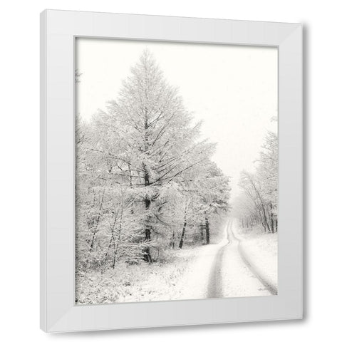 Berry Mountain Road    White Modern Wood Framed Art Print by Deiter, Lori