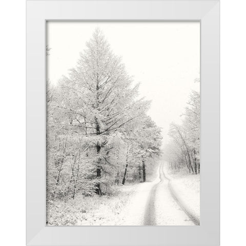 Berry Mountain Road    White Modern Wood Framed Art Print by Deiter, Lori