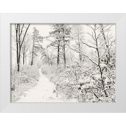 Winter Walk    White Modern Wood Framed Art Print by Deiter, Lori