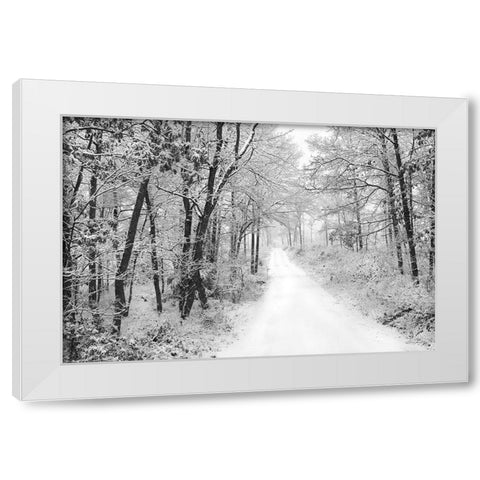 Snowy Lane   White Modern Wood Framed Art Print by Deiter, Lori