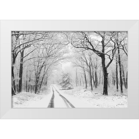 Wintry Road    White Modern Wood Framed Art Print by Deiter, Lori