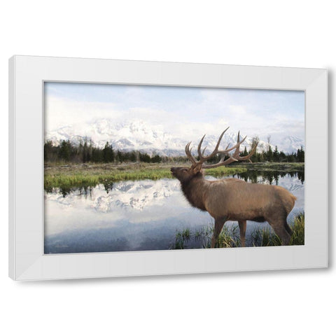 Bull Elk in Tetons White Modern Wood Framed Art Print by Deiter, Lori